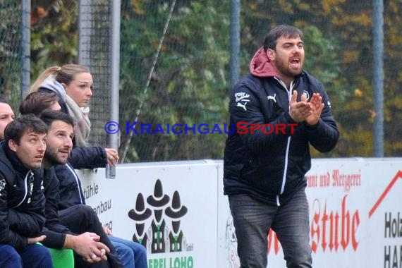 Landesliga Rhein Neckar TSV Michelfeld vs ASV/DJK Eppelheim  (© Siegfried)